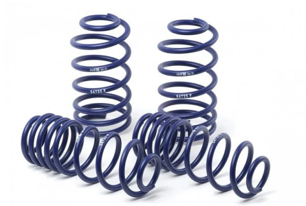 Ford Fusion Sport Spring Set