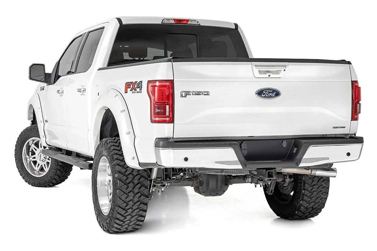 Oval Nerf Step | Crew Cab | Black | Ford F-150 2WD/4WD | 2015-2021 | Rough Country | 21005 - Image 4