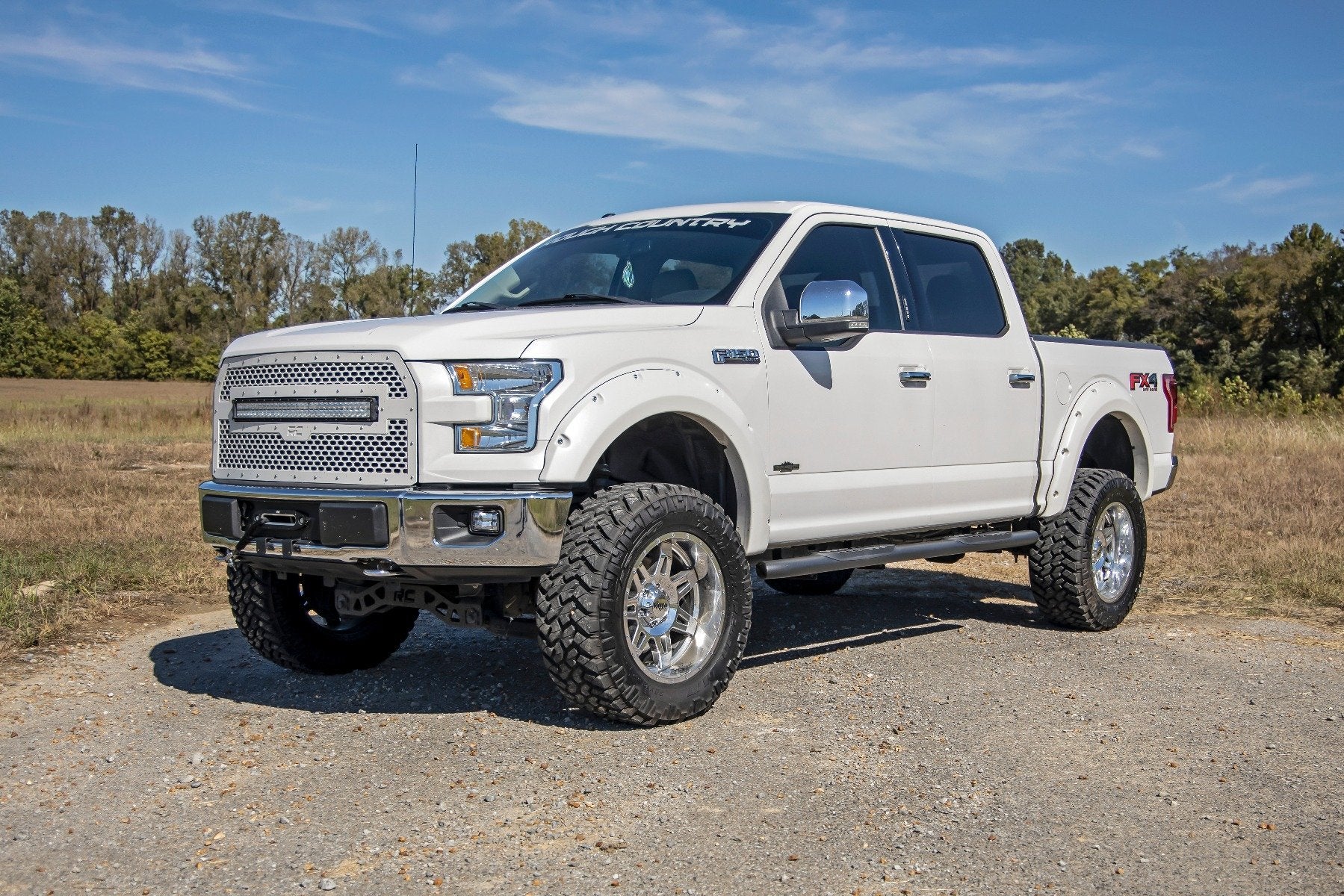 Oval Nerf Step | Crew Cab | Black | Ford F-150 2WD/4WD | 2015-2021 | Rough Country | 21005 - Image 5
