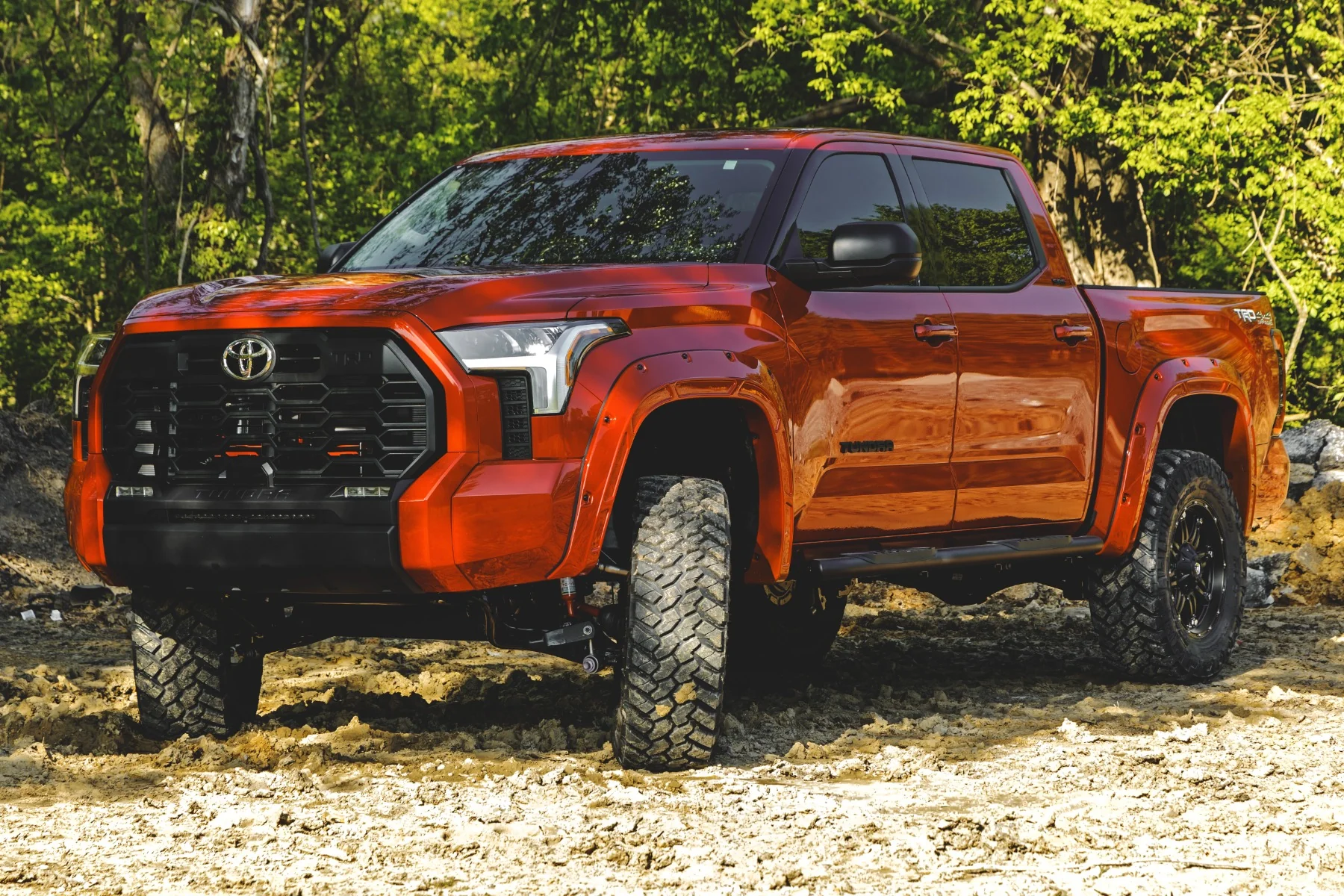 Oval Nerf Steps | Crew Cab | Black | Toyota Tundra 2WD/4WD -2022 | 2022-2022 | Rough Country | 21014 - Image 5